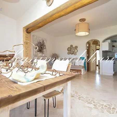 Luxury House In *